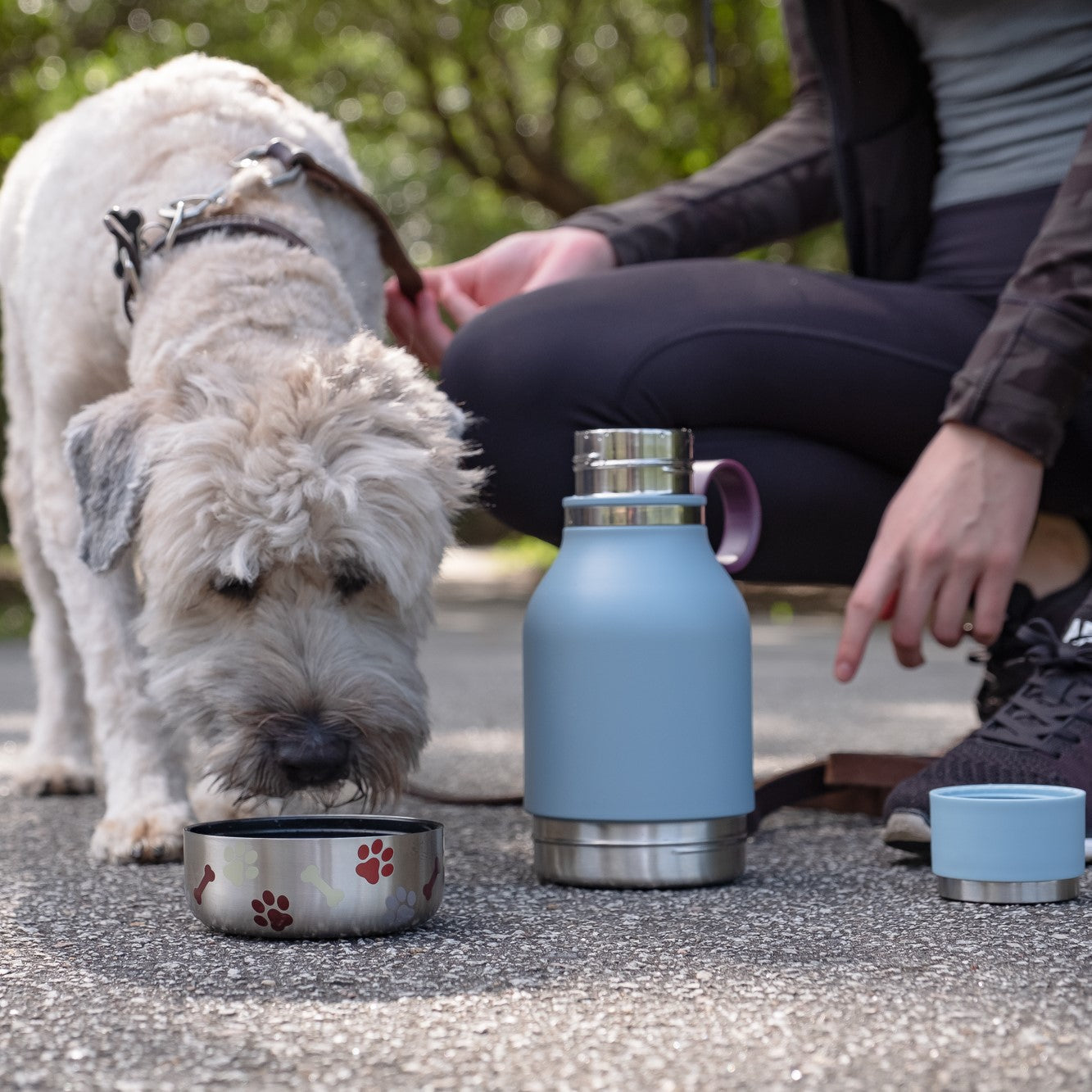 DOG DOWL - Edelstahlflasche & Hundenapf