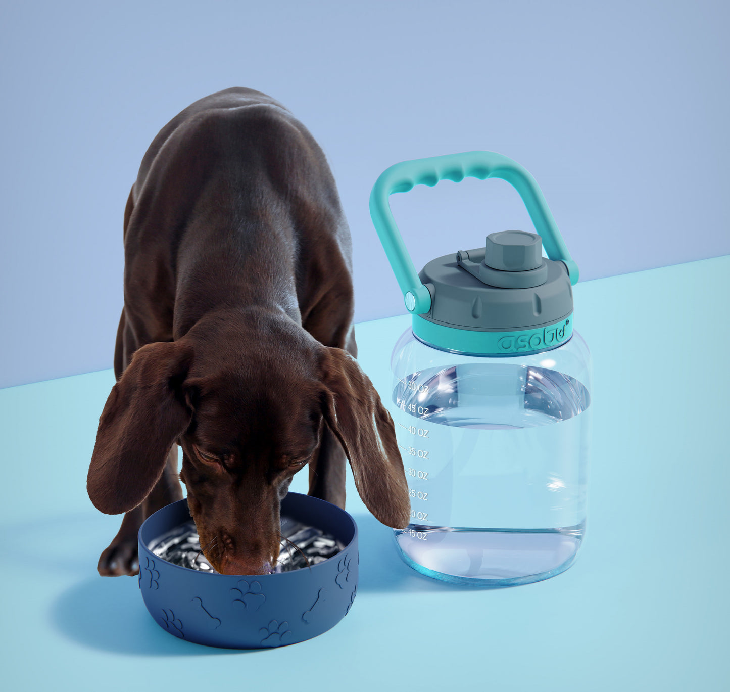 BARKLEY Dog Bowl - Tritanflasche 1 Liter mit Hundenapf