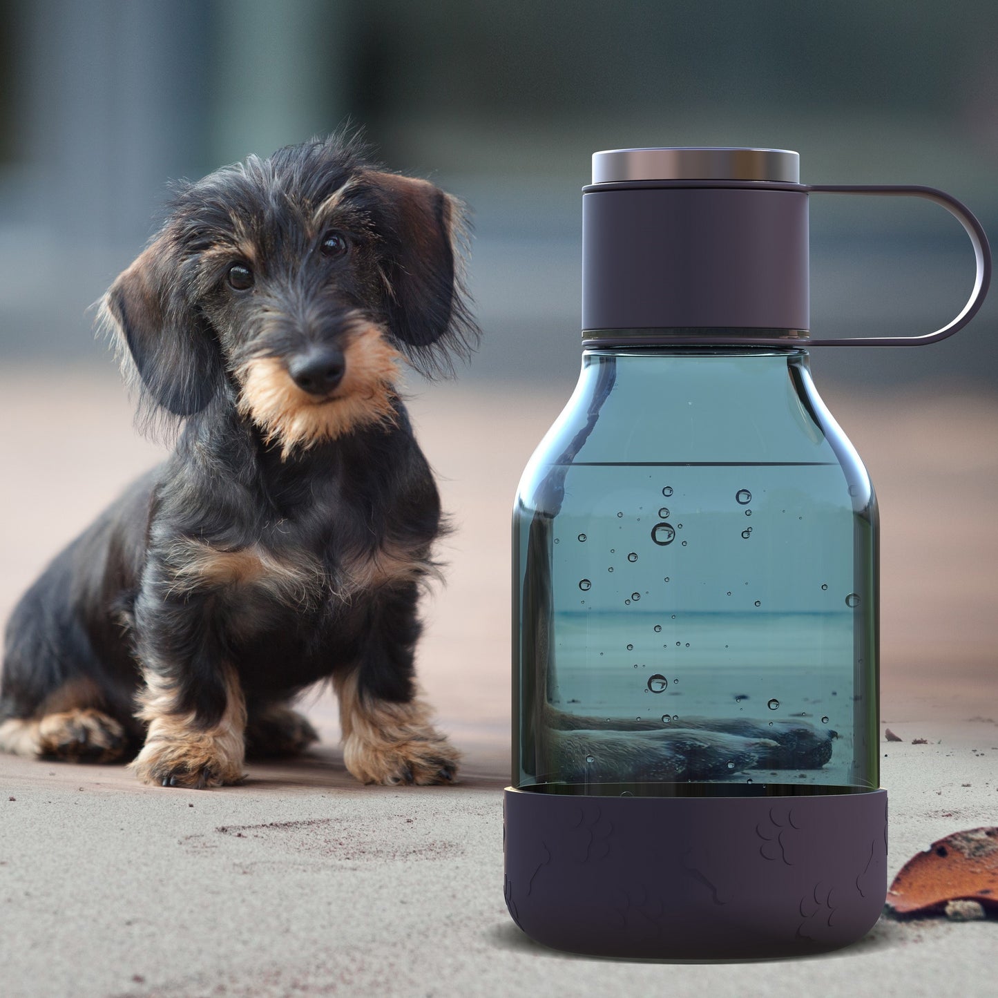 DOG BOWL LITE - Trinkflasche & Hundenapf