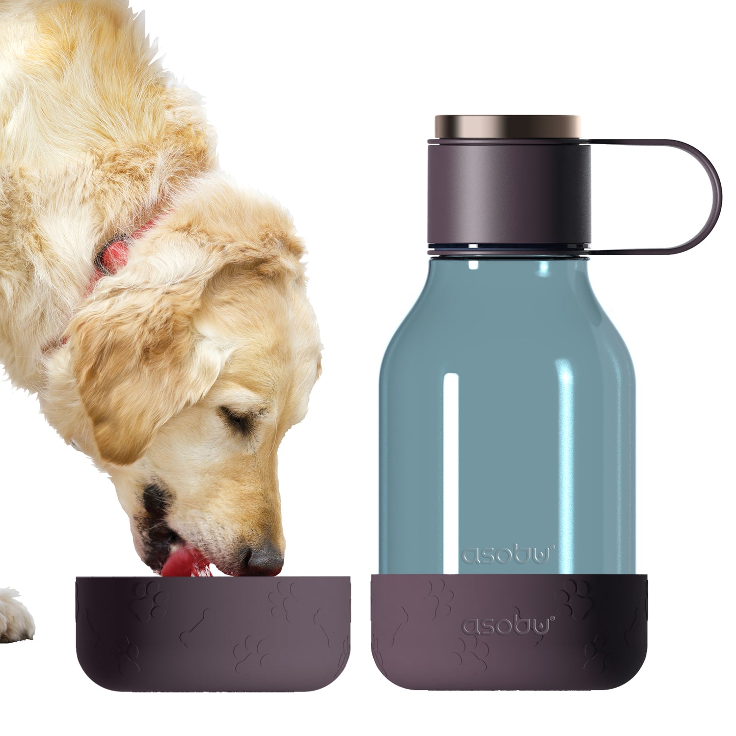 DOG BOWL LITE - Trinkflasche & Hundenapf