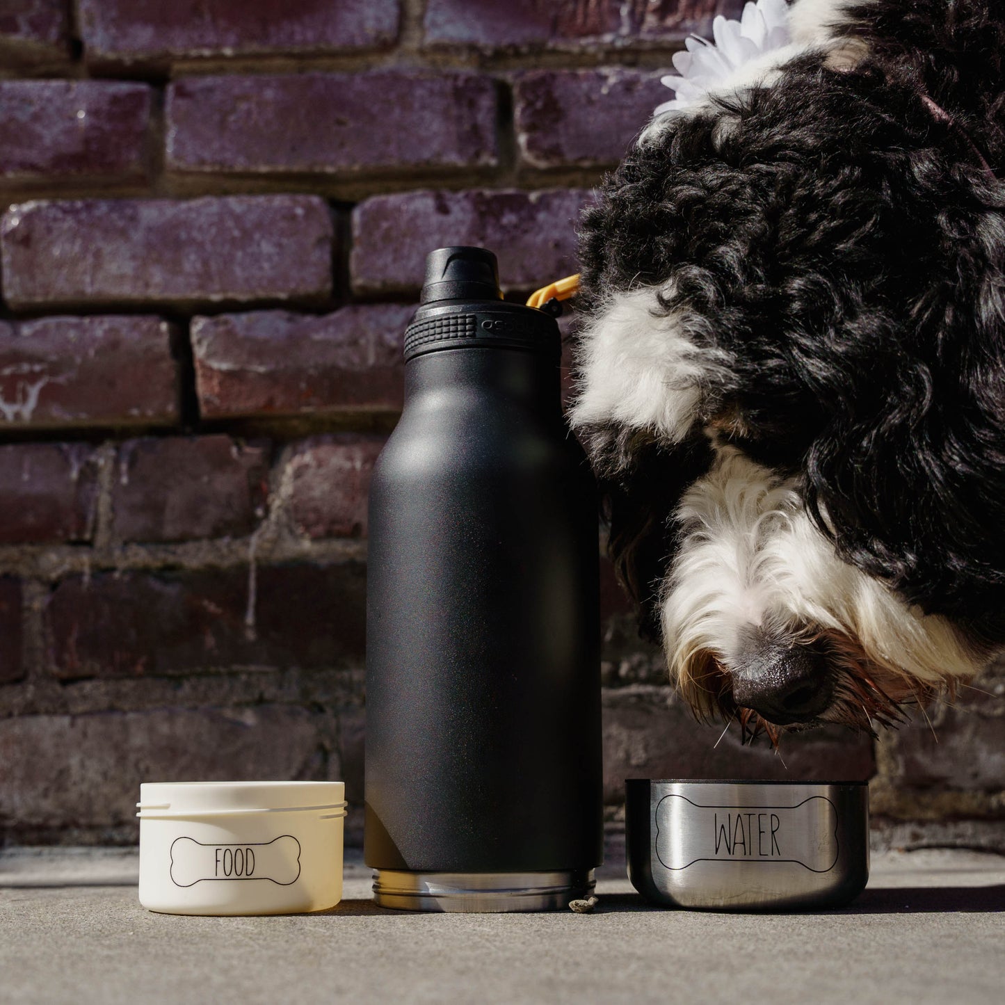 DOG BOWL BUDDY - Edelstahlflasche mit 2 integrierten Näpfen